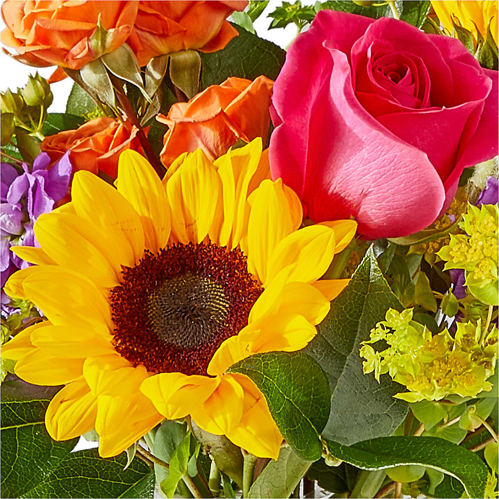 Vibrant Greetings Bouquet –  Althoff Floral, Cannon Falls MN