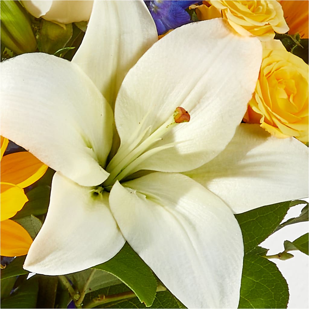 Wonderfully Sunny Bouquet –  Althoff Floral, Cannon Falls MN