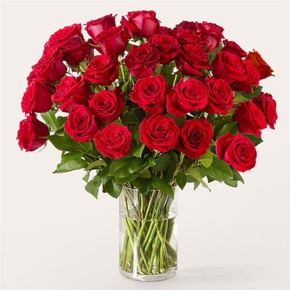 The One Red Rose Bouquet –  Althoff Floral, Cannon Falls MN