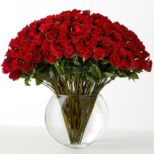The Idealist –  Althoff Floral, Cannon Falls MN