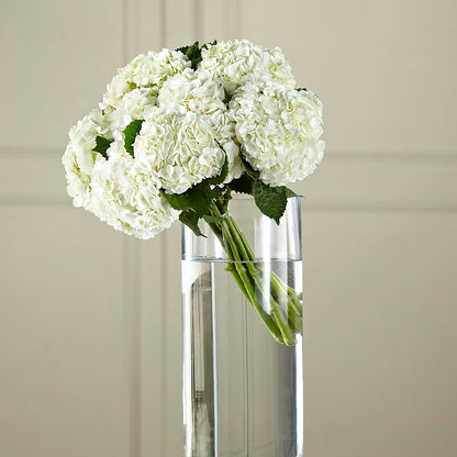 White Hydrangea Hand-Tied Bouquet –  Althoff Floral, Cannon Falls MN