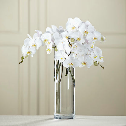White Phalaenopsis Bouquet –  Althoff Floral, Cannon Falls MN