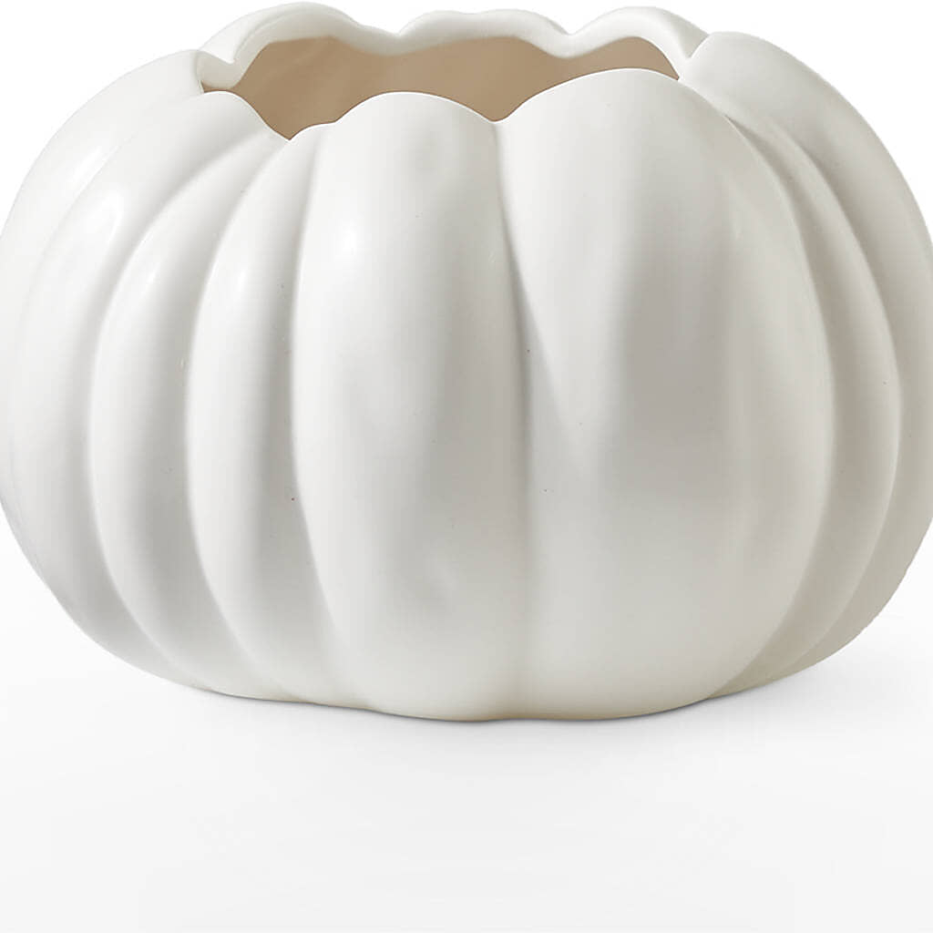 Autumn Air Pumpkin Bouquet –  Althoff Floral, Cannon Falls MN
